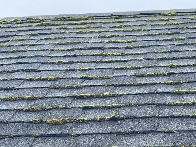 Moss Deterioration on Roof
