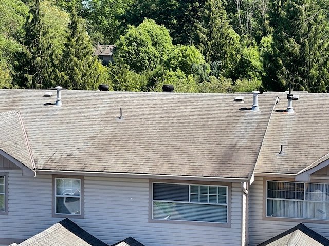 shingles deterioration roof
